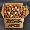 Four Types of Nut Combination Gift Packs: Macadamia Nuts, Almonds, Pistachios, Pecans, Cashew Nuts, Canned Snacks