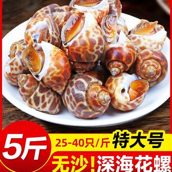 Fresh Live Conch, Extra-Large Seafood, Fresh Frozen Dongfeng Conch, Extra-Large Flower Snail Shellfish