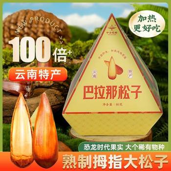 Authentic Yunnan Balaclava Pine Cones Long Grain Dried Fruit Open Hand Peeling Brazilian Origin Pine Cones Pine Nuts