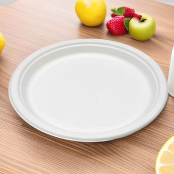 Disposable Paper Plate Paper Bowl Sugar Cane Pulp Biodegradable Outdoor Barbecue Birthday Cake Plate Thickeneded Party Disc Set