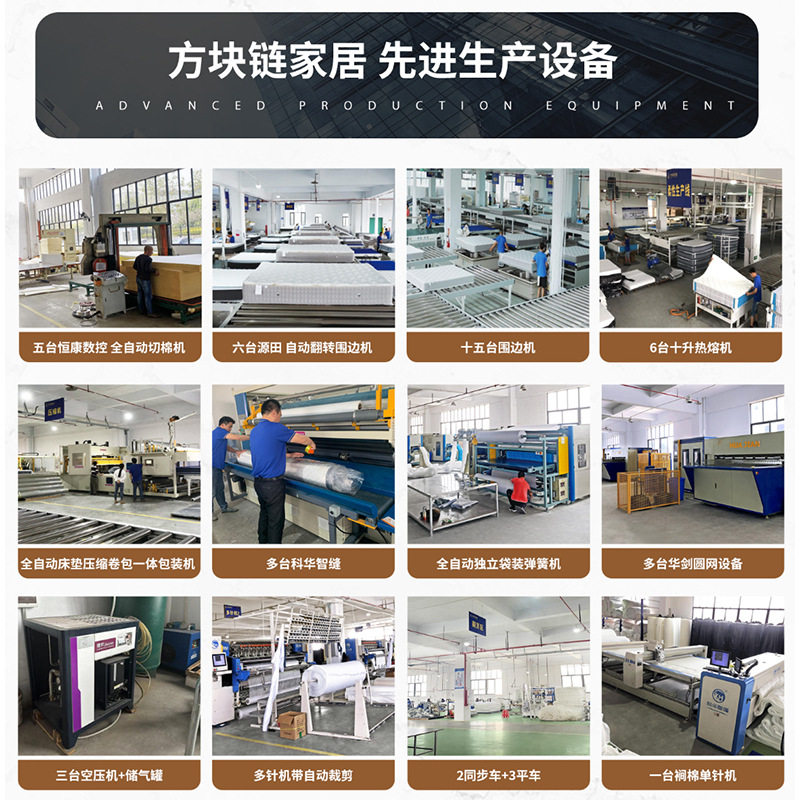 Sleep Beauty Mattress Coconut Palm Mat 1.5m Children's Lumbar Support Simmons Homestay Apartment Hotel Custom Home Mattress