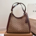 Erin31 bean paste color