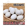 Hot-Selling Fresh Goose Eggs from Farm, Free-Range Large Goose Eggs, Wild River Water-Raised Goose Eggs for Pregnant Women, Large and Good Eggs
