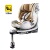 Planetarium pro champagne gold (бесплатный коврик + противоизносная накладка)