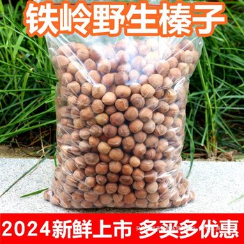 Fresh Wild Small Hazelnuts from Tieling, Northeast China, 2024 Specialty Dried Nuts, Raw Hazelnuts in Bulk, Raw Hazelnuts Roasted