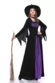 1856 hat, collar, dress