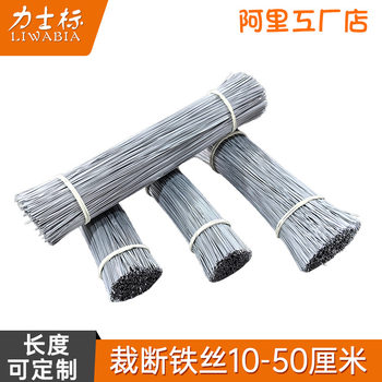 Iron Wire No. 20 22 Steel Bar Tying Wire Tying Wire Cutting Broken Wire Electroplated Zinc Handmade DIY Skeleton Floral Iron Wire