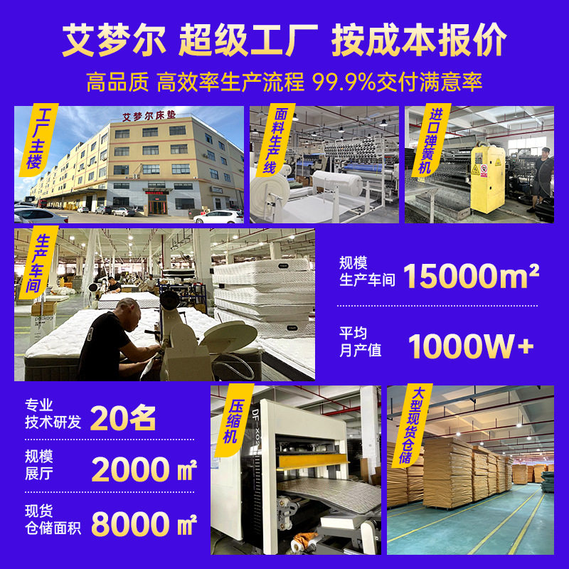 Blue Box Mattress Cross-Border Independent Spring Latex Hotel Customization