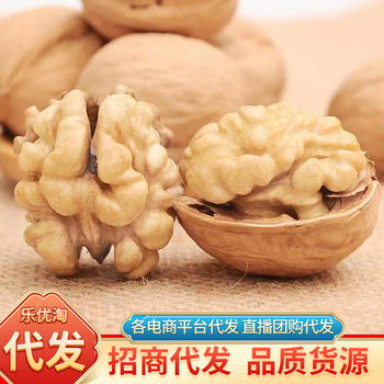 New Arrival for Shipping from Xinjiang 185 Paper-Skinned Walnuts Wholesale 500g Hand-Peeled Thin-Skinned Nut Snacks Wholesale Walnuts
