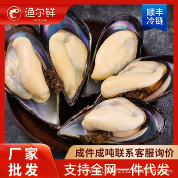 Half-Shelled Mussels, Quick-Frozen Blue Mussels, Green-Lipped Mussels, Sea Rainbow Frozen Shellfish, Fresh Half-Shelled Mussels