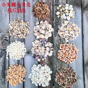 Xiaomi Snail Shells, Natural Conch Shells Sold by the Pound, Starfish DIY Handmade Kindergarten Materials, Refrigerator Magnet Decoration