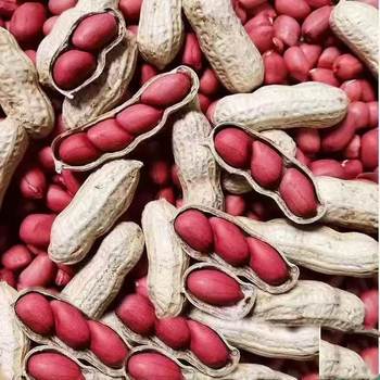 Seasonal New Arrivals: Four Red Northeast Specialty Peanuts with Shells, Farm-Produced Sun-Dried Peanuts with Shells, One Piece Drop Shipping