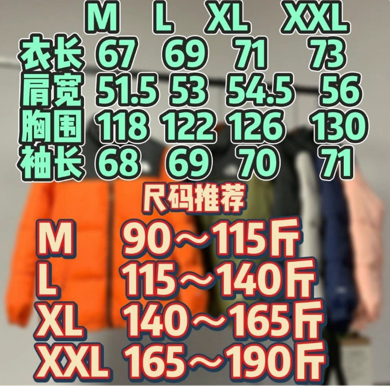 American North Home 1996 Men's and Women's Couple Winter Loose Stand Collar Thickened Warm Embroidered Men's Premium down Jacket Wholesale