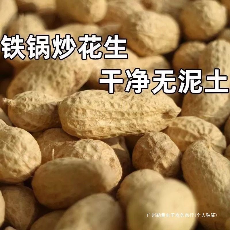 [Hot Sale] New Arrival Freshly Stir-Fried Iron Pan Original Flavor Stir-Fried Peanuts with Shells for Sand Stir-Frying on Firewood 2.5kg