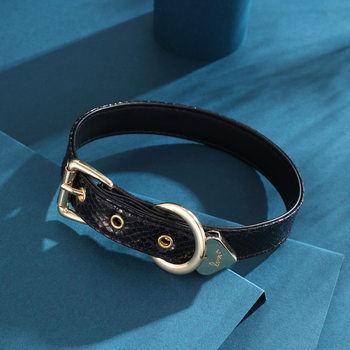 Choker Collar Harajuku Simple Daily Collocation Punk Subculture Leather Collar Nightclub Simple Piece Ring Jewelry