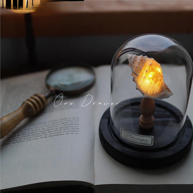 Ocean Island Retro Shell Sea Urchin Conch Lamp Night Light Ornament Handmade Material Pack Mid-Autumn Festival