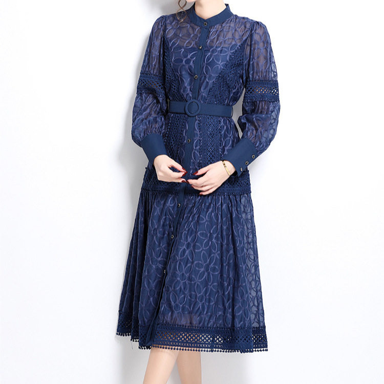 Vintage Embroidered Lantern Sleeve Dress Spring Collection Waist Cinching A Line Button Closure Elegant Occasion