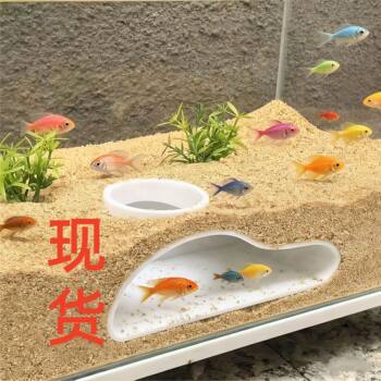 Shrimp and Fish Bottom-Dwelling Single-Hole Underwater Cave Single Hole Fish Watching Tunnel