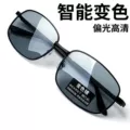 Color changing polarizer (day and night use)