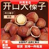 One-Piece Dropshipping Hazelnut, a Northeast Specialty, Fresh Wild Hazelnuts from Tieqing, Original Flavor, No Additives, Dried Fruit