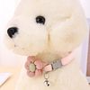 Pet Plush Flower Collar Angel Wings Collar Cat Bell Collar Pet Cat Dog Universal Cute Collar