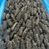 Dried Sea Cucumber Origin Dalian Bottom-Sown Sea Cucumber National Standard Grade Nourishing High-Taste Fresh Sea Cucumber for the Elderly and Pregnant Women