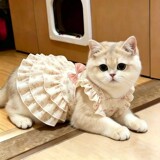 Летнее милое платье с бантом для домашних кошек, защищающее от линьки, кукольное голубое платье для кошек с золотым градиентом, платье для котенка в стиле феи