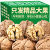 Thin-skinned Walnut Wholesale Price Yunnan Thin-skinned Raw Walnut with Shell Original Bulk Wholesale Nut Snacks New Walnut