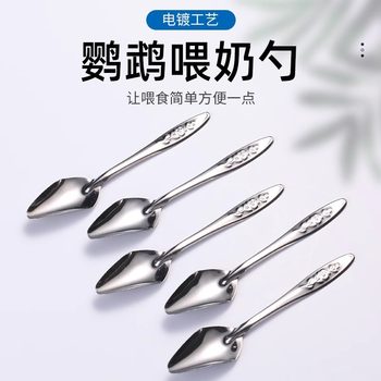 Stainless steel spoon parrot feeding device hand-raised starling xuanfeng BB baby bird milk powder feeding spoon factory outlet