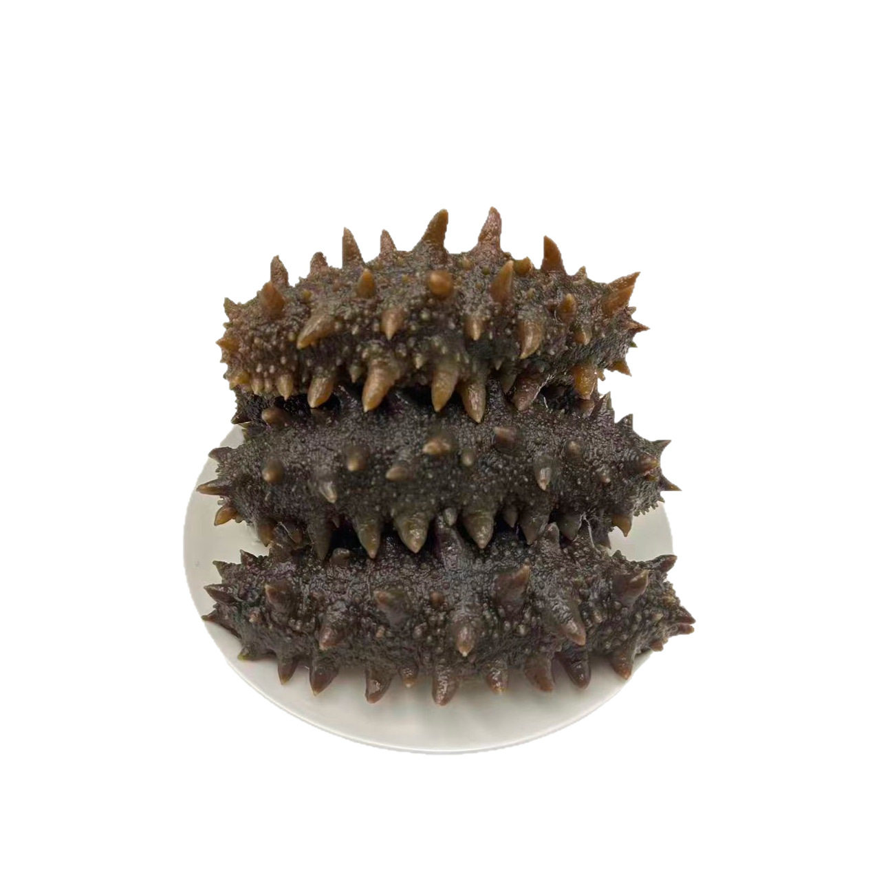 [0.5kg Direct Delivery]Wild Sea Cucumber Ready-To-Eat Dalian Fresh Sea Cucumber Sea-Resident Sea Cucumber Gift Box Instant Fresh Sea Cucumber