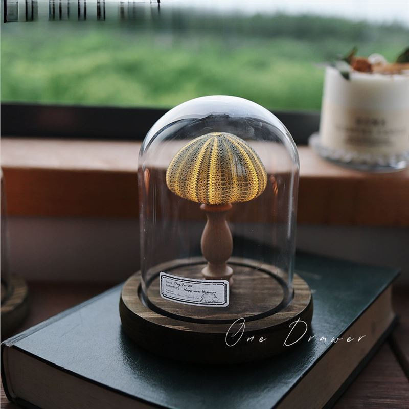 Ocean Island Retro Shell Sea Urchin Conch Lamp Night Light Ornament Handmade Material Pack Mid-Autumn Festival