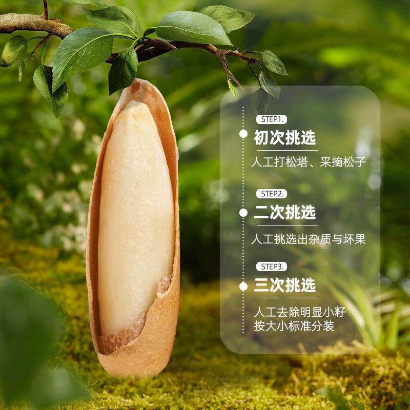 Brazilian Pine Nuts 2025 New Stock, Not Afghan, Large Peeled Pine Nut Kernels, Imported Snacks for Pregnant Women, Nuts from Northeast