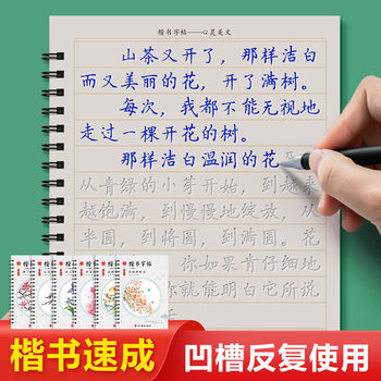 Calligraphy Practice Book with Groove for Small Regular Script, Suitable for Both Men and Women, Beautiful Handwriting Font, Penmanship for Children and Adults, Quick Learning