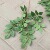 Специальное предложение Lingxiao Leaf-Зеленый
