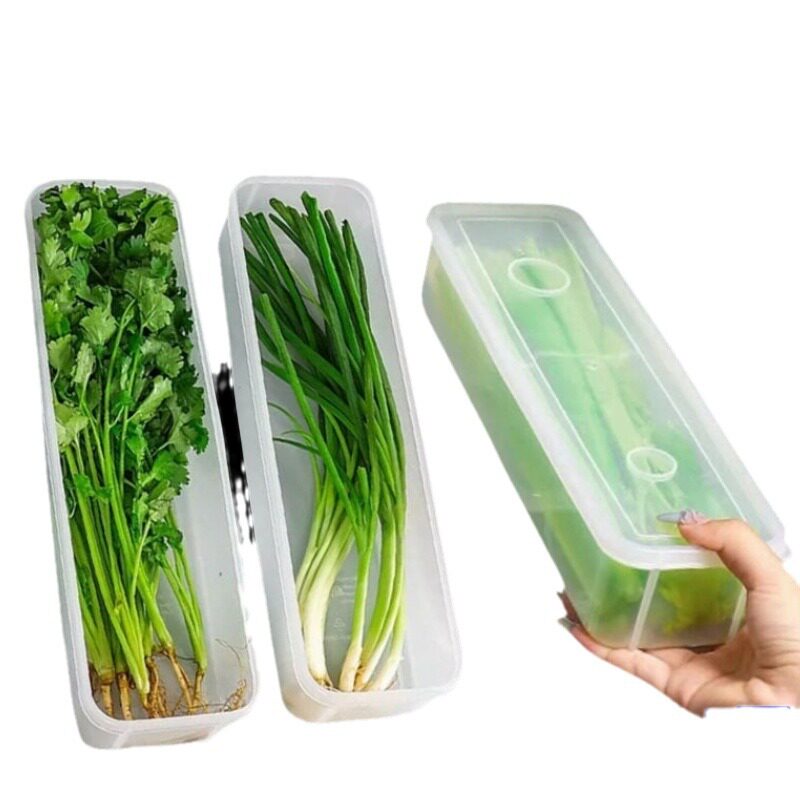 Coriander Shallot Storage Box Refrigerator Fresh-keeping Artifact Thickened Noodles Egg Box Coriander Sealed Fresh-keeping Box