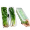 Coriander Shallot Storage Box Refrigerator Fresh-keeping Artifact Thickened Noodles Egg Box Coriander Sealed Fresh-keeping Box