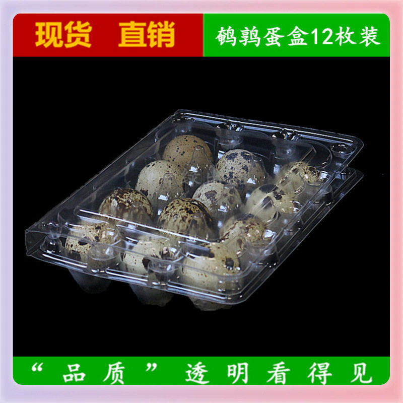 Quail Egg Packaging Box Transparent Blister Pet Plastic Egg Tray Jiabao Fruit Packaging Box Manufacturer Wholesale General Packaging