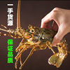 Live Frozen Vietnamese Small Green Lobster, Live Frozen Shrimp, Frozen Shrimp, Live Seafood, Frozen Products Wholesale and Retail
