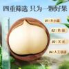 Baicaowei Macadamia Nuts Thin Shell 500g Canned Creamy Healthy Extra Large Grain Nuts Casual Snacks Dried Fruits