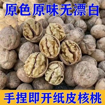 Walnuts 2025 New Crop Thin-Skinned Walnuts Direct from the Manufacturer Original Flavor Thin Shell Raw 185 Authentic Xinjiang Nuts