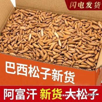 [Ten Thousand People Hoarding] Hand-peeled Brazilian Pine Nuts New Bulk Large Afghan Dried Fruit Nuts Pregnant Women Snacks