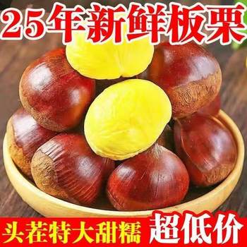 2025 Freshly Picked Authentic Yimeng Mountain Oil Chestnut Factory Wholesale Spot Raw Chestnuts with Shells Wild Chestnuts