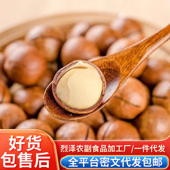 Bulk Macadamia Nuts Wholesale, Large Fresh Macadamia Nuts, Creamy Flavor, Large Thin-Shelled Snacks, Roasted Nuts