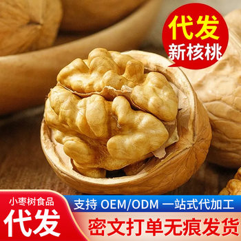 Wholesale Xinjiang paper walnut Aksu thin shell bag 500g authentic hand-peeled herbal milk cooked walnut