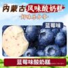 Whole Box of Yogurt Cake] Harbin Flavor Cheese Inner Mongolia Specialty Internet Celebrity Snack Milk Yogurt Ka
