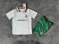 2627 palmeiras