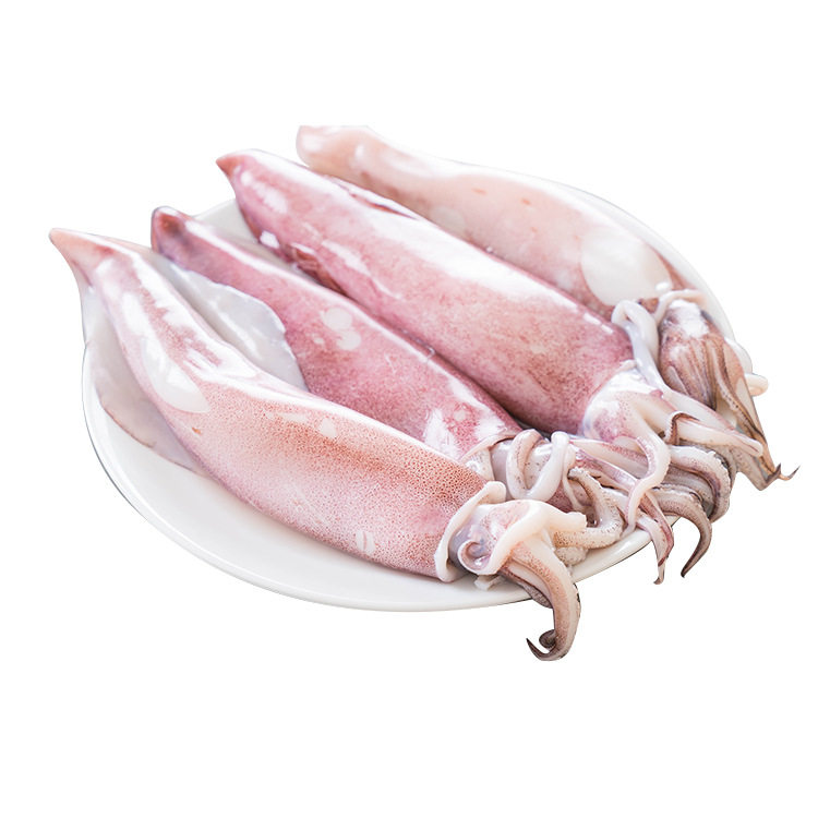 Female Squid Wholesale Free Shipping with Seed Mother Tube Squid Frozen Pen Tube Paste Squid Seafood Aquatic Products Restaurant Hotel Supply