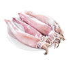Female Squid Wholesale Free Shipping with Seed Mother Tube Squid Frozen Pen Tube Paste Squid Seafood Aquatic Products Restaurant Hotel Supply