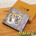 Apricot tiger
