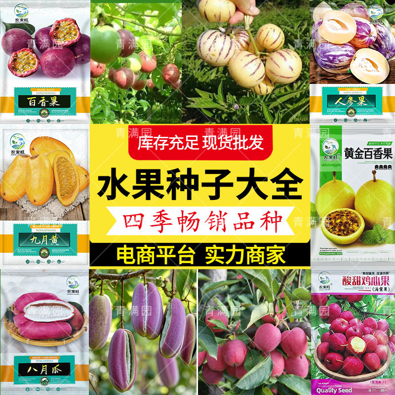 Wholesale Ginseng Fruit Seeds, Thick Flesh, Fragrant Flowers and Fruits, Milky Yellow Flesh, New Seeds for Farmland and Vegetable Gardens with High Germination Rate